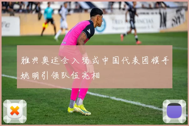 雅典奥运会入场式中国代表团旗手姚明引领队伍亮相