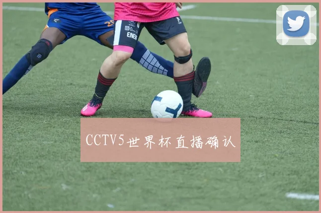 CCTV5世界杯直播确认