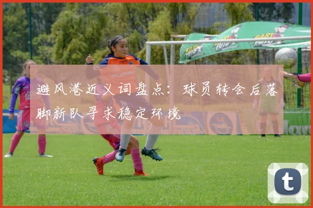 避风港近义词盘点：球员转会后落脚新队寻求稳定环境