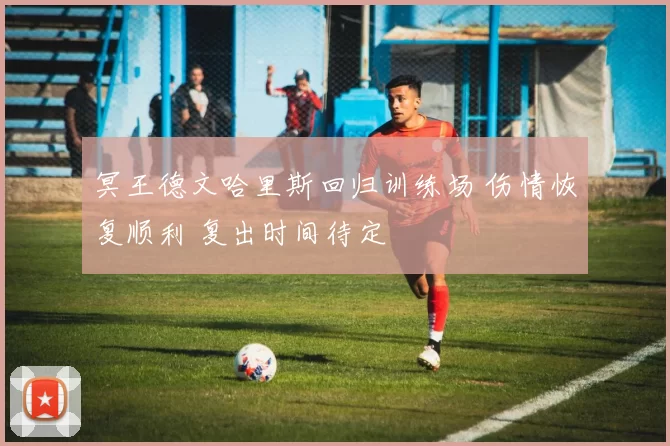 冥王德文哈里斯回归训练场 伤情恢复顺利 复出时间待定