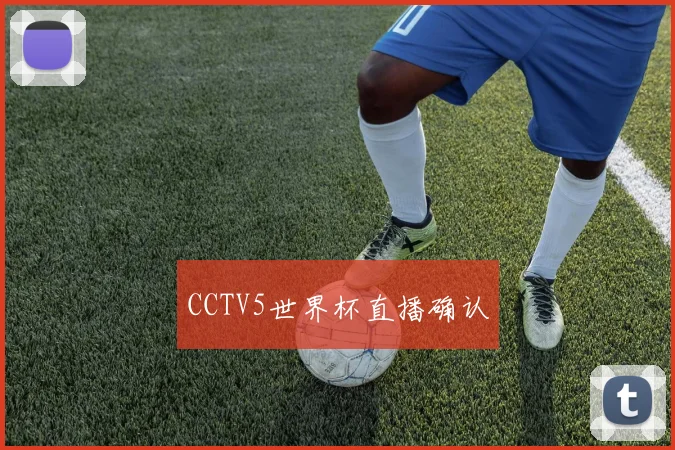 CCTV5世界杯直播确认