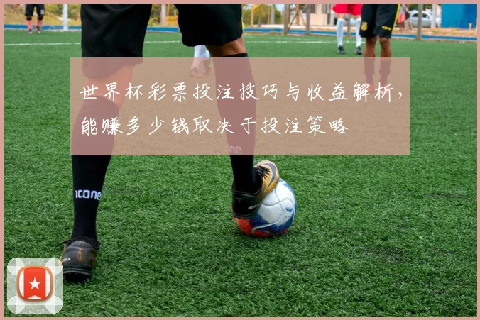 世界杯彩票投注技巧与收益解析，能赚多少钱取决于投注策略