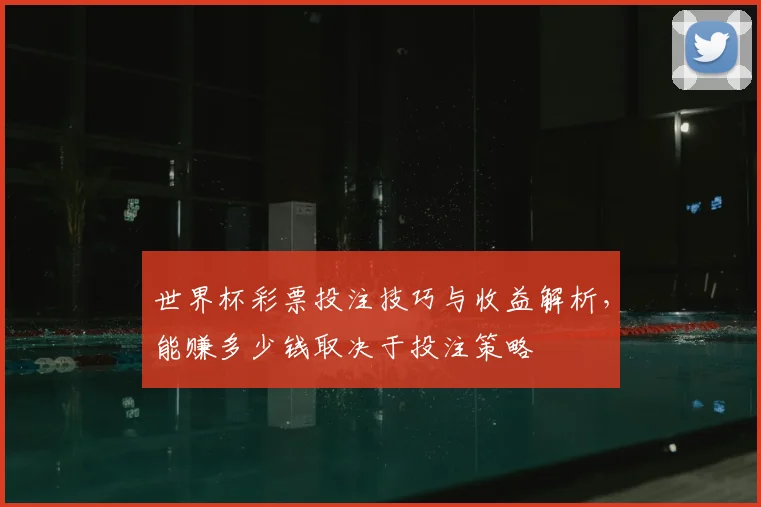 世界杯彩票投注技巧与收益解析，能赚多少钱取决于投注策略