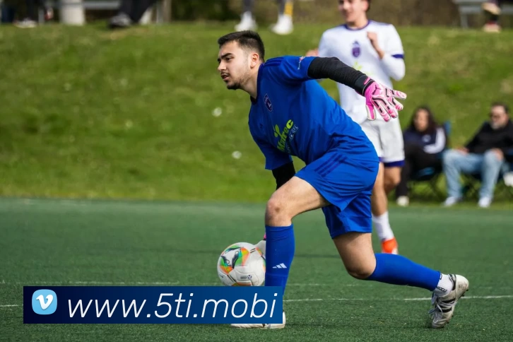 Kaiyun (中国官方网站) - 官方认证的服务平台平台生态图